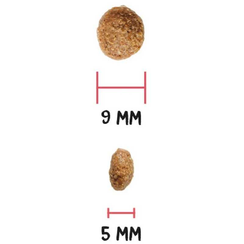 OWNAT AUTHOR DOG Fresh Lamb & Pork 10kg