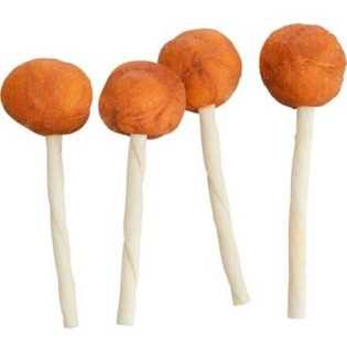 PREMIO Lolly, žvýkací lízátko s treskou [60], 9 cm/ 15 g