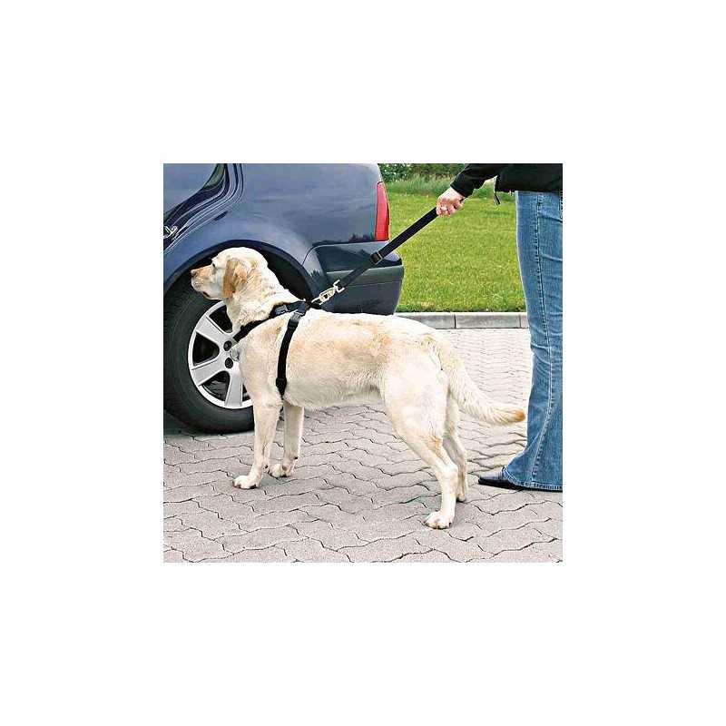 Postroj do auta pro psa, M: 50-70 cm/25 mm, např. border kólie