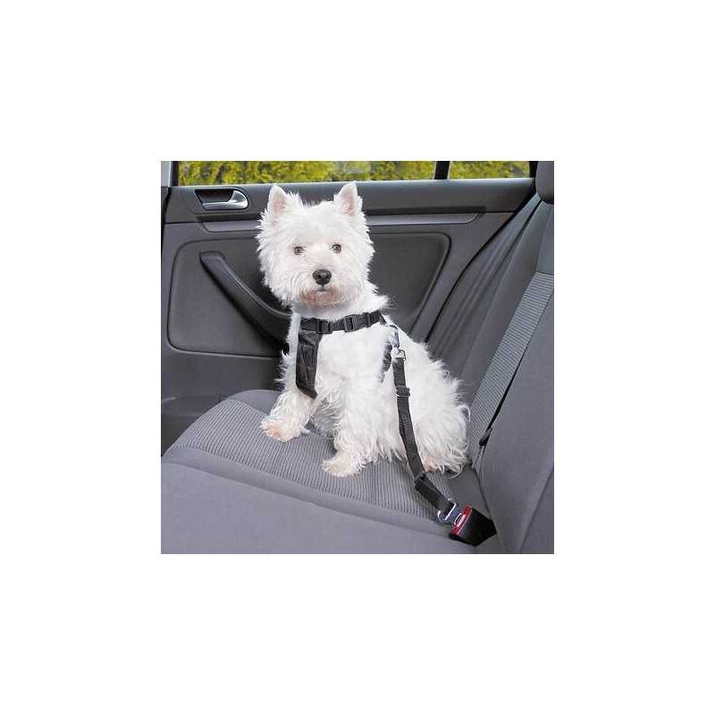Postroj do auta pro psa, M: 50-70 cm/25 mm, např. border kólie
