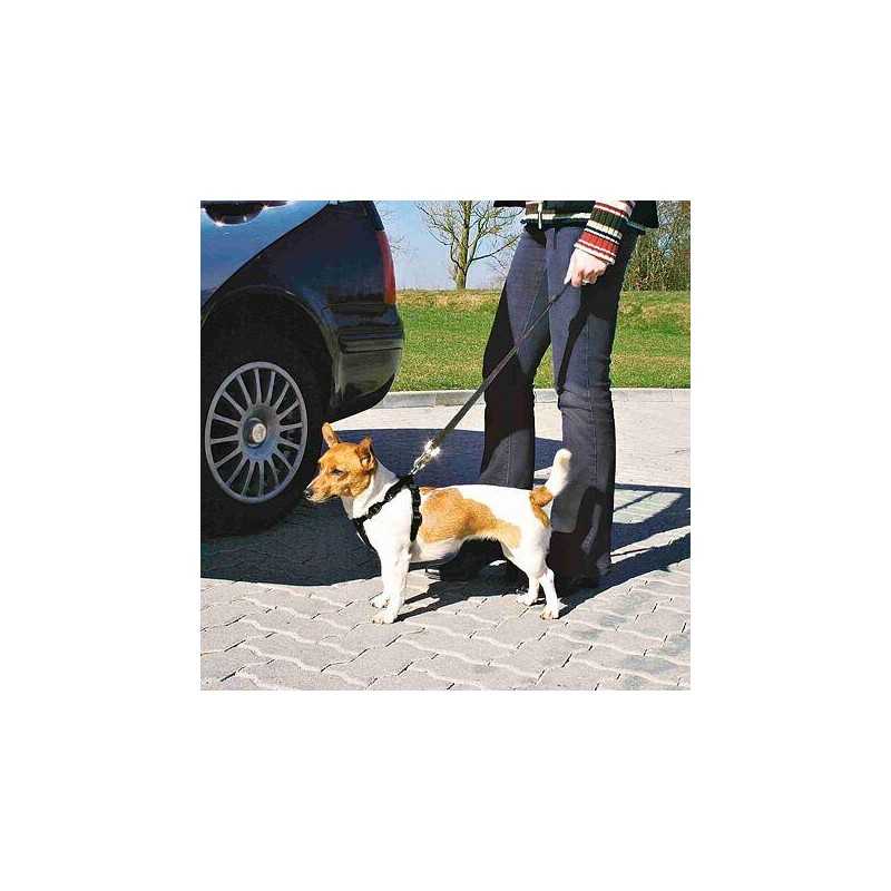 Postroj do auta pro psa, S: 30-60 cm/20 mm, např. white teriér