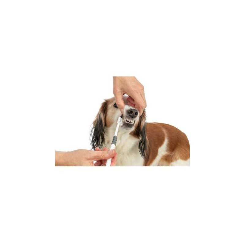 Tříhlavý zubní kartáček pro psy/kočky, 18 cm, bílá/šedá