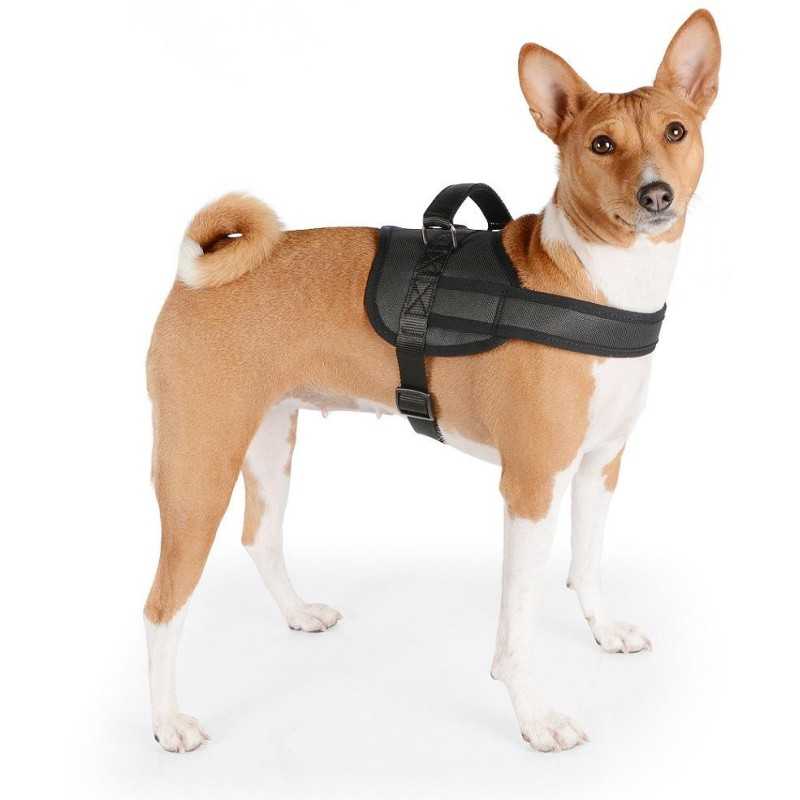 Postroj služební Tommi S černý