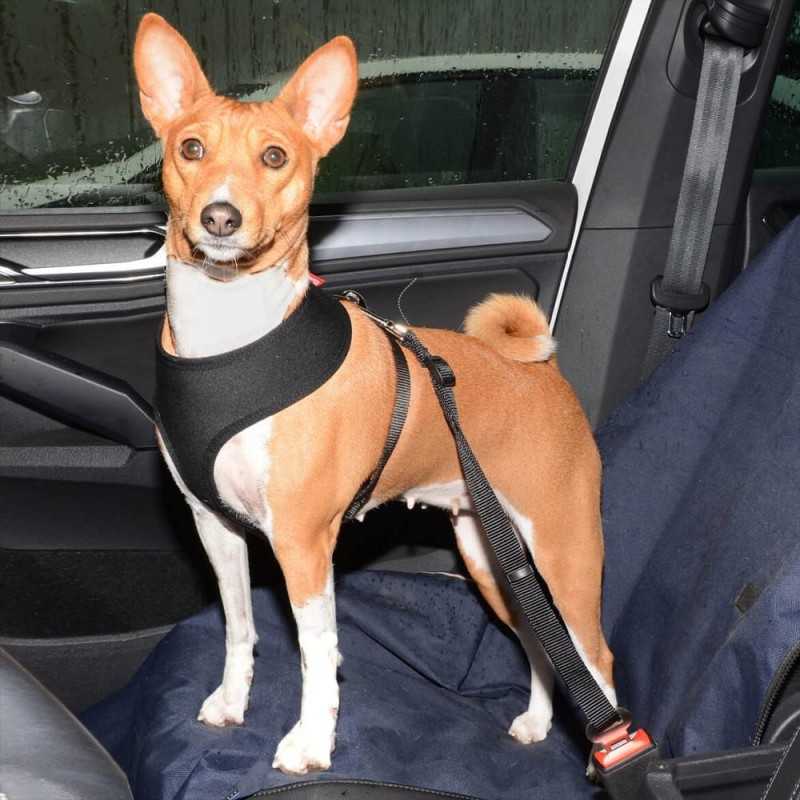 Postroj do auta Tommi XS černý neopren