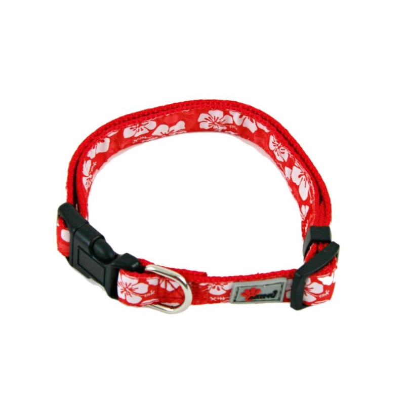 Akinu BASIC Nylonový obojek pro psy modrá 25 mm 45-65 cm