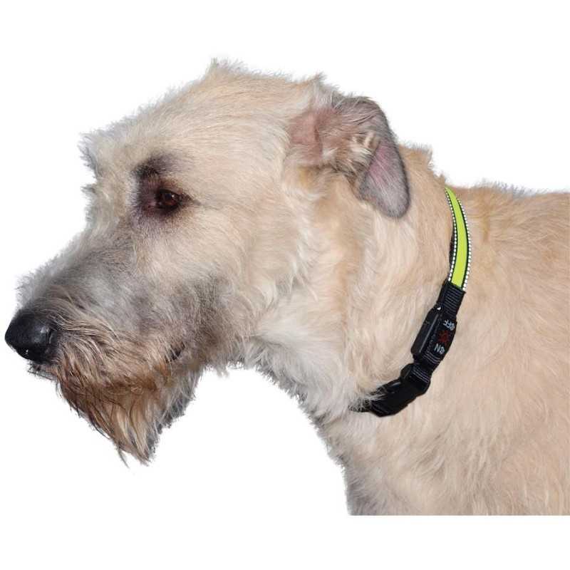 LED obojek dobíjecí USB/vel.L 50-60cm/ zelený