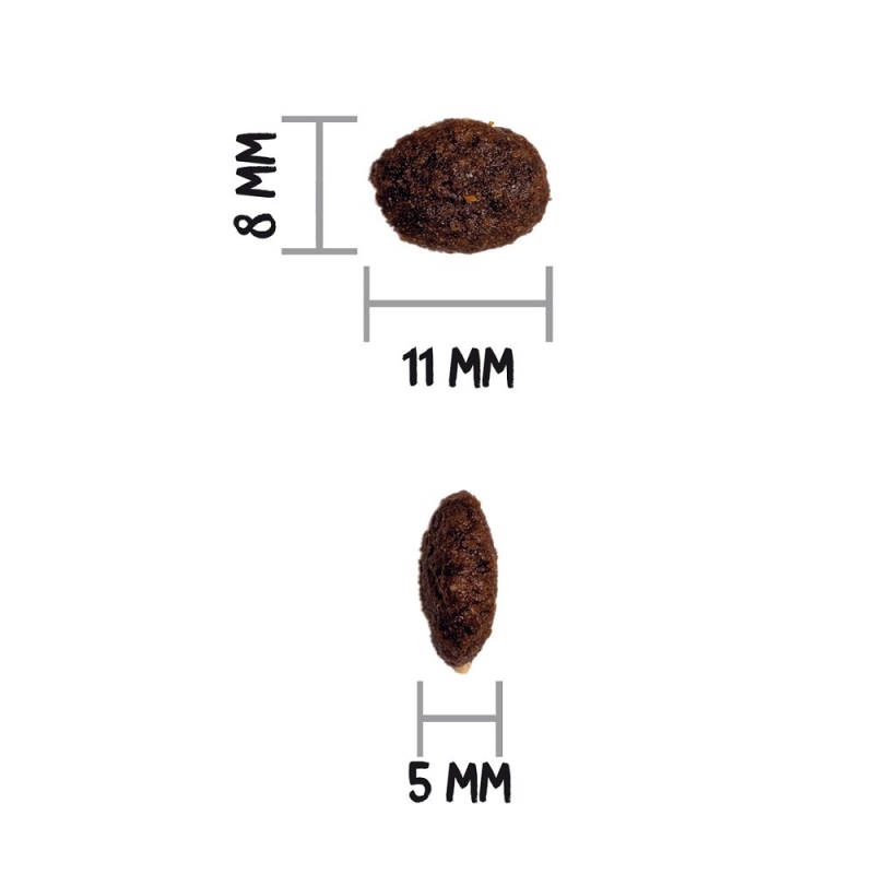 OWNAT GF PRIME CAT Adult Chicken & Turkey 3kg