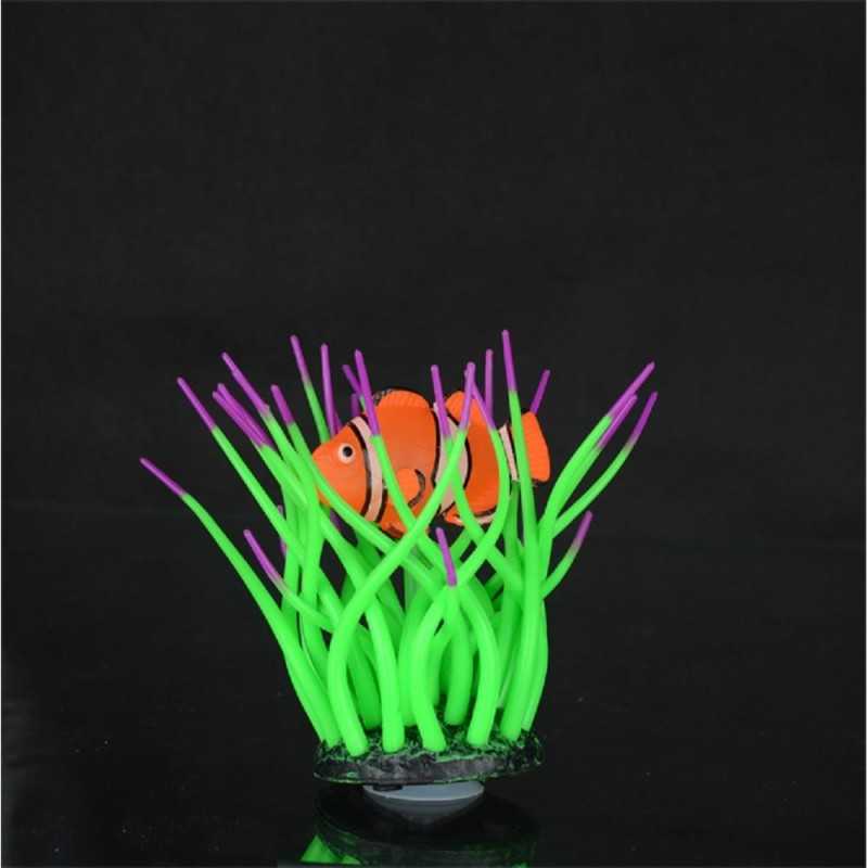 Aqua LUMO - Sasanka mořská s klaunem