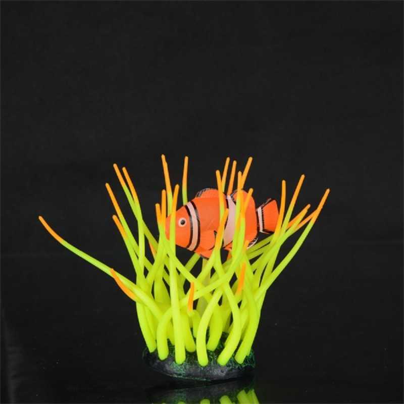 Aqua LUMO - Sasanka mořská s klaunem