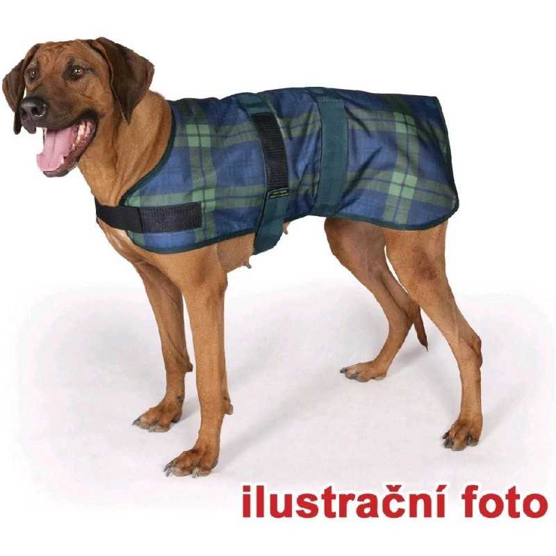 Obleček Derby zelený