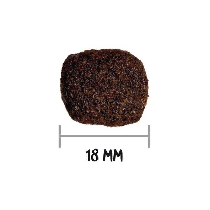 OWNAT GF HYPOALLERGENIC DOG Lamb 3kg