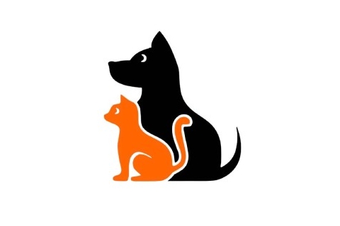 náhradní bio molitany